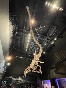 福井県立恐竜博物館に投稿された画像（2025/10/12）
