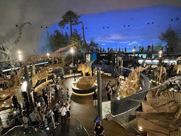 福井県立恐竜博物館に投稿された画像（2025/10/12）