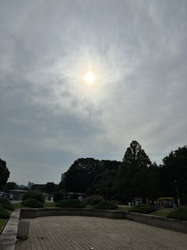 特別展「運慶 祈りの空間ー興福寺北円堂」（東京国立博物館　本館 特別５室）に投稿された画像（2025/10/12）