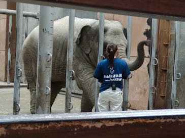 名古屋市東山動植物園に投稿された画像（2025/10/12）