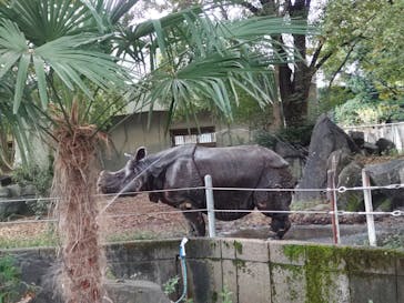 名古屋市東山動植物園に投稿された画像（2025/10/12）