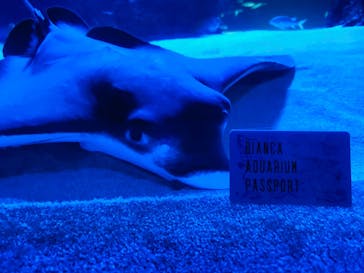 サンシャイン水族館に投稿された画像（2025/10/12）