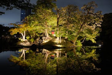 夜間特別開園 秋の夜長の小石川後楽園2025に投稿された画像（2025/10/12）