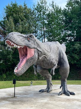 福井県立恐竜博物館に投稿された画像（2025/10/12）