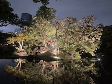 夜間特別開園 秋の夜長の小石川後楽園2025に投稿された画像（2025/10/12）