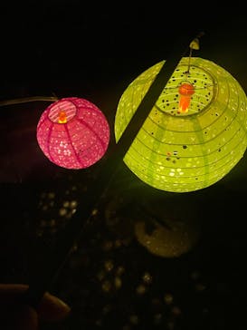 夜間特別開園 秋の夜長の小石川後楽園2025に投稿された画像（2025/10/12）