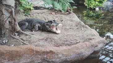 恩賜上野動物園に投稿された画像（2025/10/12）