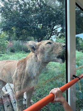 多摩動物公園に投稿された画像（2025/10/12）