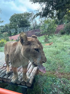 多摩動物公園に投稿された画像（2025/10/12）