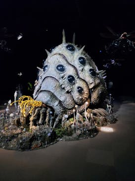 金曜ロードショーとジブリ展（静岡展）に投稿された画像（2025/10/12）