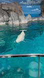 名古屋港水族館に投稿された画像（2025/10/12）