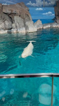 名古屋港水族館に投稿された画像（2025/10/12）