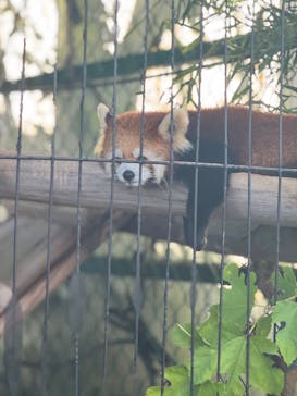 東北サファリパークに投稿された画像（2025/10/12）