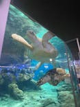 名古屋港水族館に投稿された画像（2025/10/12）