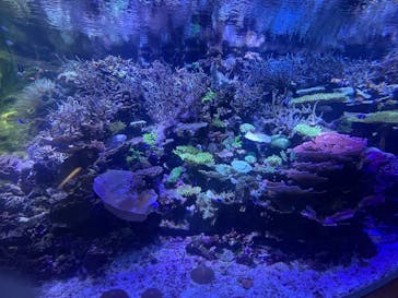 名古屋港水族館に投稿された画像（2025/10/12）
