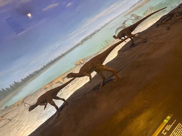 福井県立恐竜博物館に投稿された画像（2025/10/12）