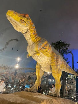 福井県立恐竜博物館に投稿された画像（2025/10/12）