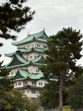 名古屋城に投稿された画像（2025/10/12）
