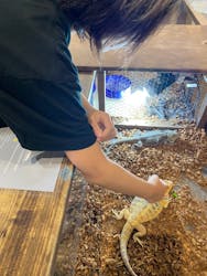 NARA IKIMONO MUSEUMに投稿された画像（2025/10/12）