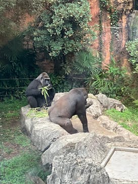 恩賜上野動物園に投稿された画像（2025/10/12）