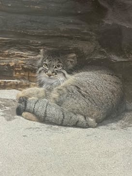 恩賜上野動物園に投稿された画像（2025/10/12）