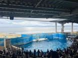 新江ノ島水族館に投稿された画像（2025/10/12）