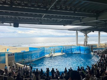 新江ノ島水族館に投稿された画像（2025/10/12）
