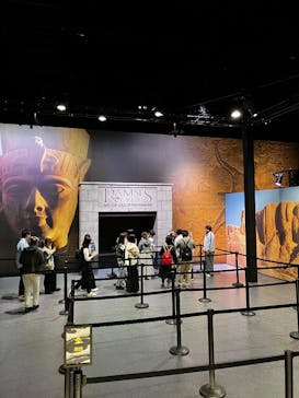 ACN ラムセス大王展 ファラオたちの黄金に投稿された画像（2025/10/12）