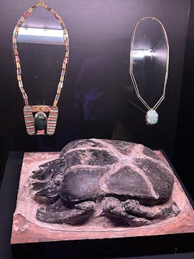 ACN ラムセス大王展 ファラオたちの黄金に投稿された画像（2025/10/12）