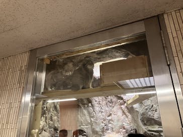 恩賜上野動物園に投稿された画像（2025/10/12）