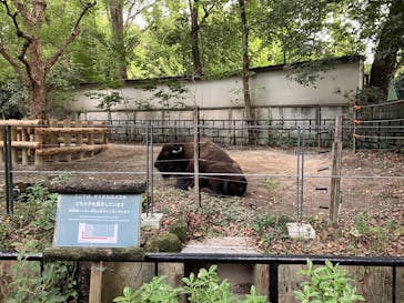 恩賜上野動物園に投稿された画像（2025/10/12）