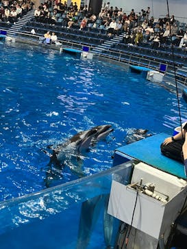 マクセル アクアパーク品川に投稿された画像（2025/10/12）