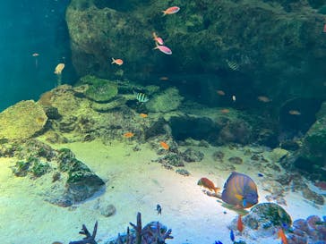 マクセル アクアパーク品川に投稿された画像（2025/10/12）