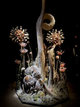 金曜ロードショーとジブリ展（静岡展）に投稿された画像（2025/10/12）