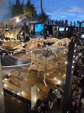 福井県立恐竜博物館に投稿された画像（2025/10/12）