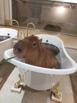 アニタッチららぽーと名古屋みなとアクルスに投稿された画像（2025/10/12）