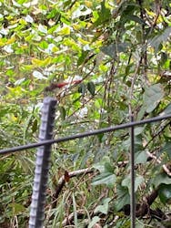 四万十市観光協会に投稿された画像（2025/10/12）