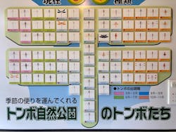 四万十市観光協会に投稿された画像（2025/10/12）