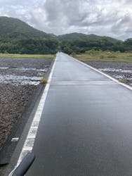 四万十市観光協会に投稿された画像（2025/10/12）