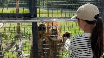 那須サファリパークに投稿された画像（2025/10/12）