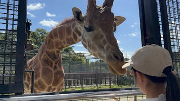 那須サファリパークに投稿された画像（2025/10/12）