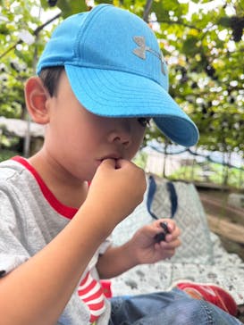  まるきょう農園に投稿された画像（2025/10/12）