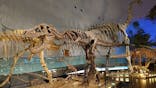 福井県立恐竜博物館に投稿された画像（2025/10/13）