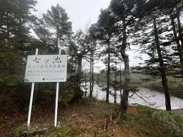 北八ヶ岳ロープウェイに投稿された画像（2025/10/12）