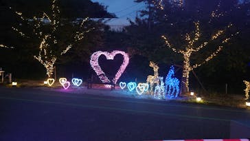 EnglishGardenローザンベリー多和田に投稿された画像（2025/10/12）