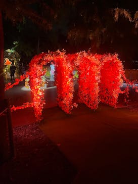 ムーミンバレーパークに投稿された画像（2025/10/12）