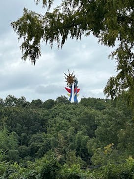 日本モンキーパークに投稿された画像（2025/10/12）