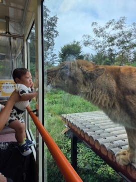 多摩動物公園に投稿された画像（2025/10/12）