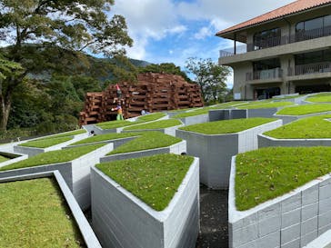 彫刻の森美術館に投稿された画像（2025/10/12）