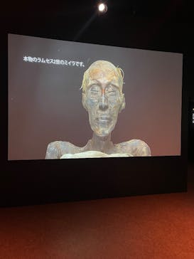 ACN ラムセス大王展 ファラオたちの黄金に投稿された画像（2025/10/13）